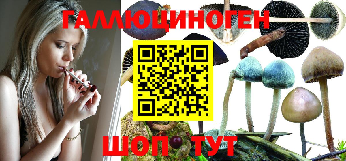 Галлюциногенные грибы Magic Shrooms  Галлюциногенные грибы ЛСД  Истра  Вход с VPN 